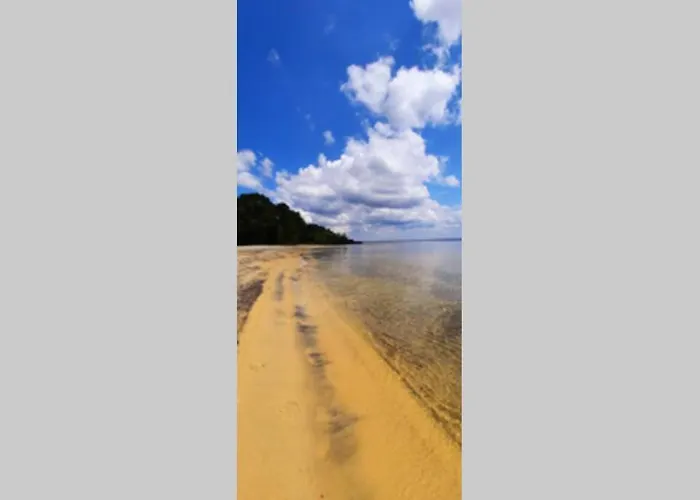 Maison Sur Le Bassin D'arcachon ラ・テスト・ド・ビュシュ